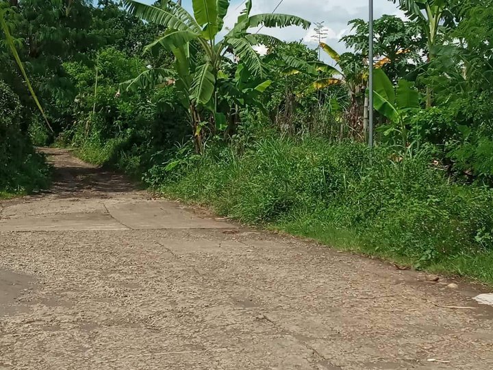 1000 sqm Residential Farm For Sale in Tuy Batangas