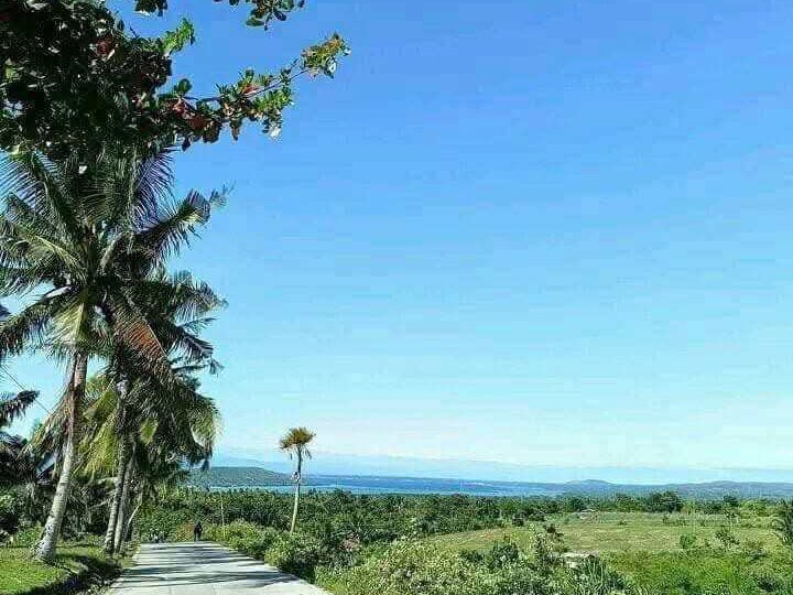 Overlooking to seaview, 100 sqm Residential Lot For Sale in Badian Cebu