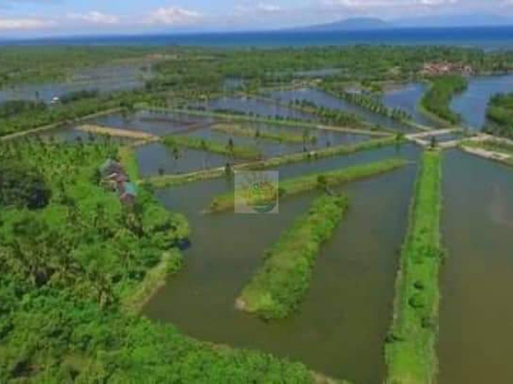 17 Hectares Operating Fish Farm For Sale