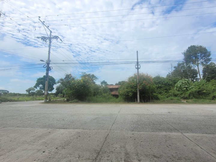 1.62 Hectares Residential Farm For Sale In Panabo, Davao del Norte