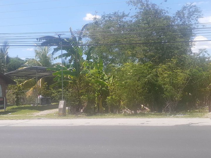 Commercial lot For Sale in Urdaneta Pangasinan