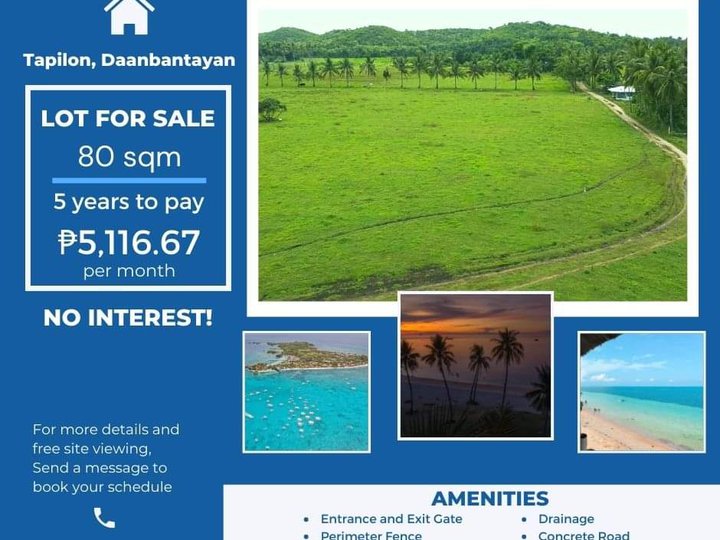 80 Sqm, 100 Sqm, 135 Sqm Residential Lot For Sale in Daanbantayan Cebu
