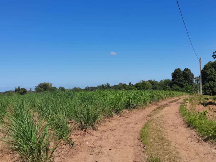 10 hectares Farm Lot For Sale in Ma-ao Bago City, Bacolod, Negros Occidental