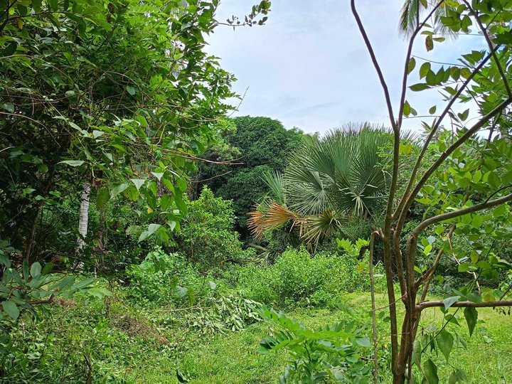100 sqm Raw Land For Sale in Norzagaray Bulacan