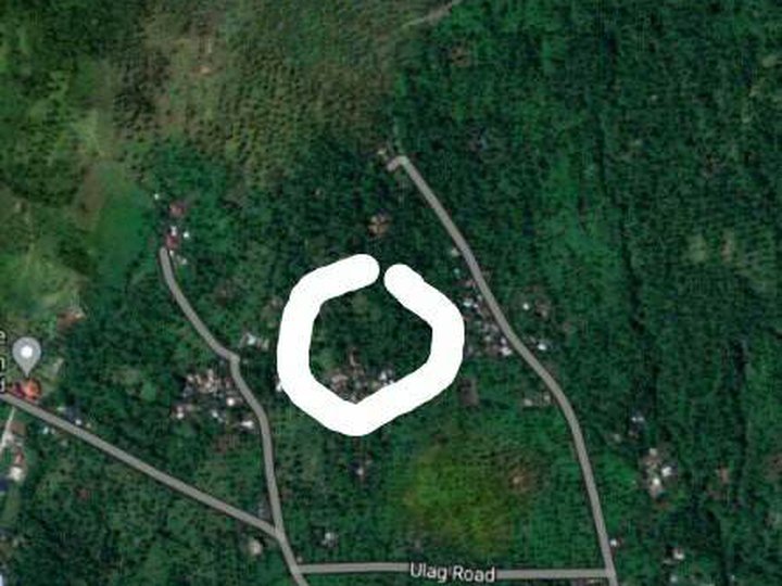 6,360 sqm residentiam lot for sale in brgy bonga, bacacay, albay