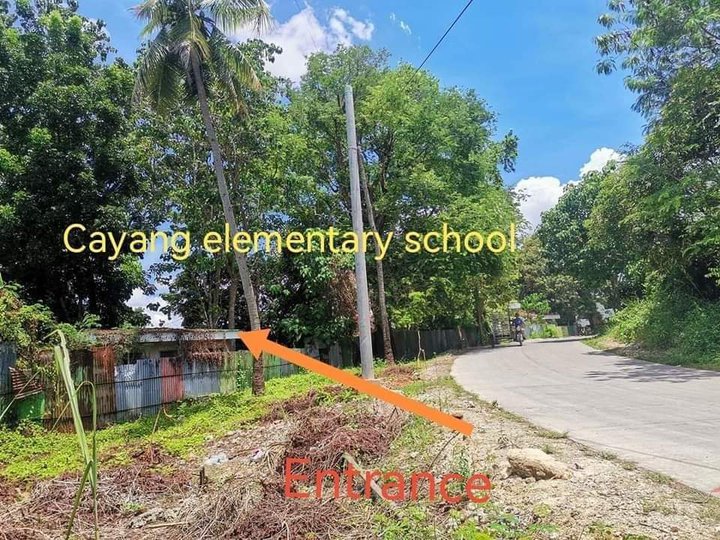 Affordable lot in bogo beside elementary school and near barangay hall