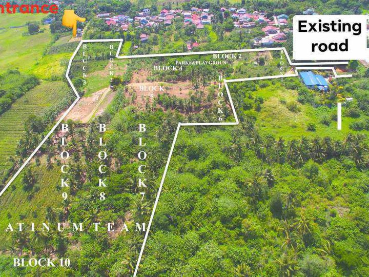 150 sqm Residential Lot For Sale in Silang Cavite