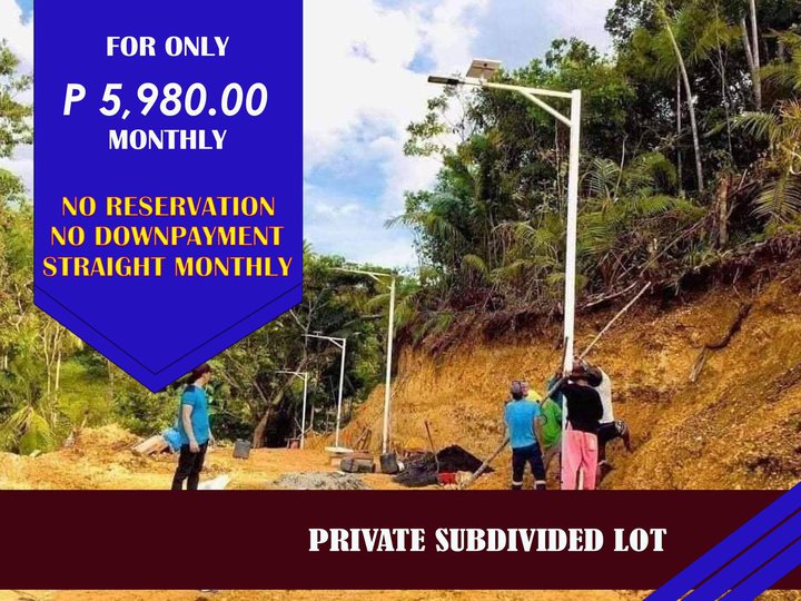 80 sqm Raw Land For Sale in Maribojoc Bohol