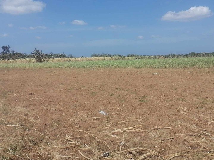 1.31 hectares Agro-Industrial Farm For Sale in Lian Batangas