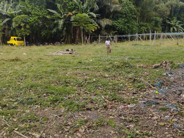 Mini FARM RESIDENTIAL LOT at Montecillo Sariaya Quezon