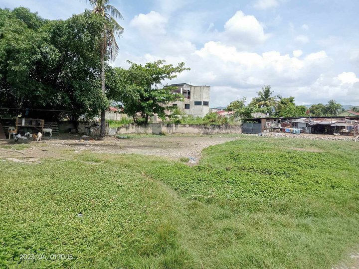 Titled Residential Lot For Sale in Minglanilla Cebu