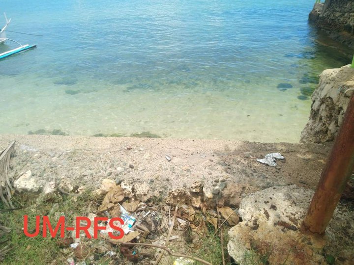8168 sqm Beach Property For Sale in Daanbantayan Cebu