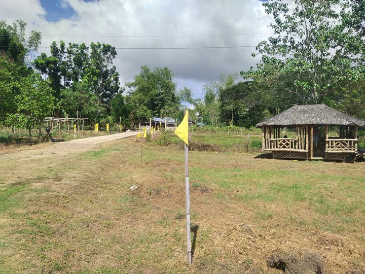 Affordable Lot for Sale in Sta. Barbara Iloilo