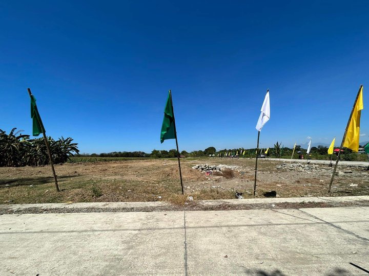 Residential Lot For Sale in  Mapandan Pangasinan