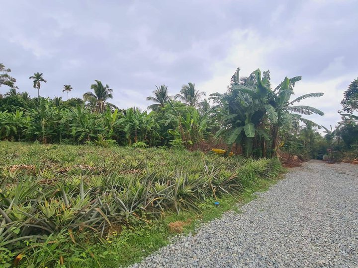 1000 sqm Residential Farm For Sale in Alfonso Cavite