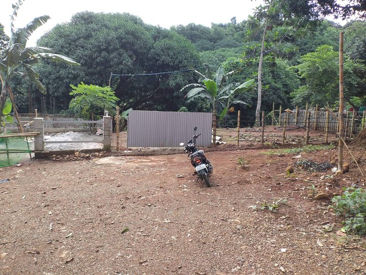 300sqm Residential Farm For Sale in Antipolo City