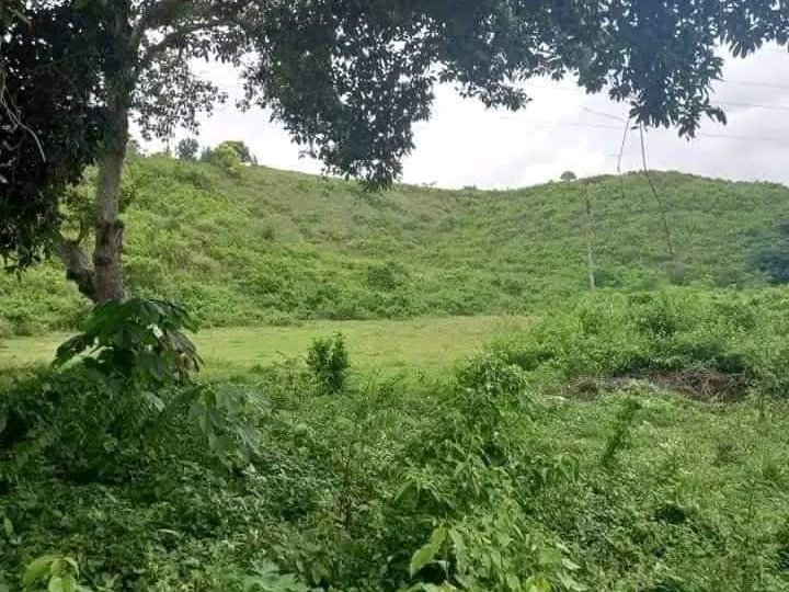 50 sqm Residential Lot For Sale in Compostela Cebu