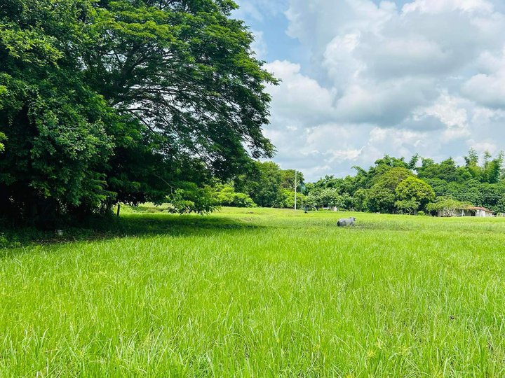 1,000 sqm Residential Farm For Sale in San Juan Batangas