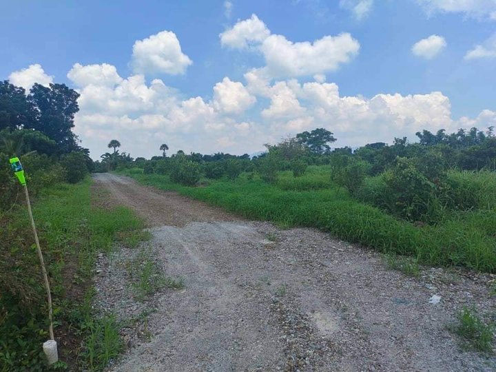 Affordable Farm/Residential Lot in Tiaong QUEZON