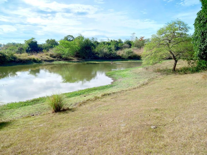 Agricultural Lot 430,000sqm more or less