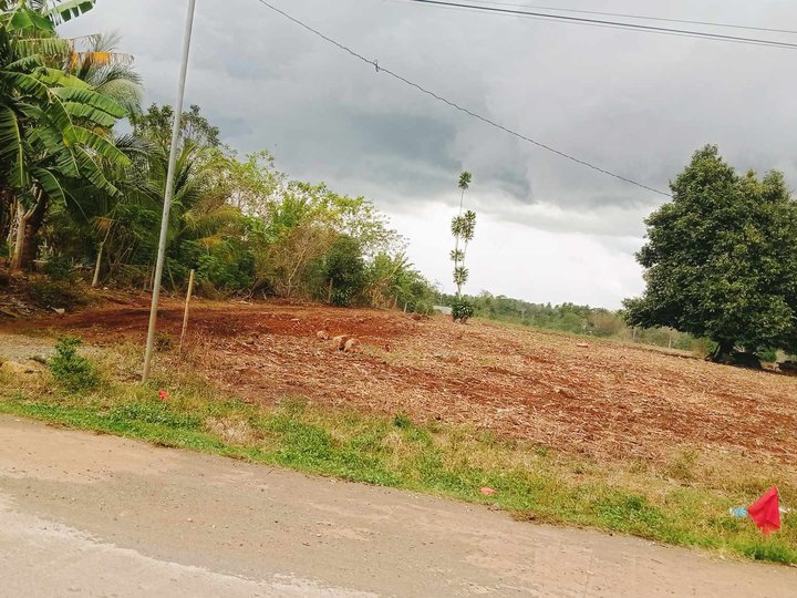 Lot for sale in Mantibugao zone 2 installment 100sqm 190k