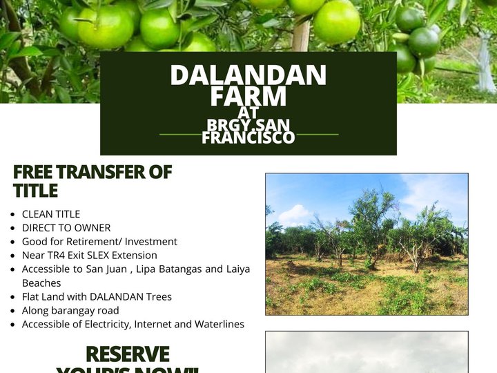 1,000 sqm Agricultural Farm For Sale in Tiaong Quezon