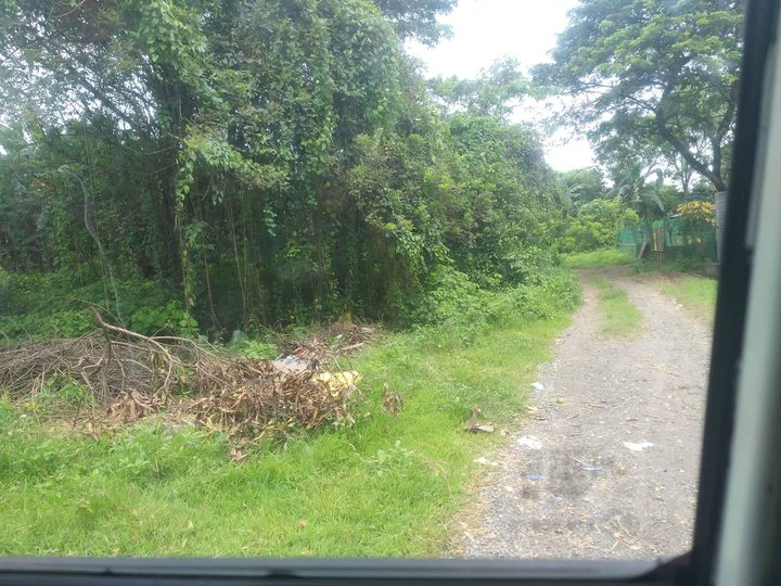 2,000per sqm ,5 hectares farm lot at san isidro sto tomas batangas