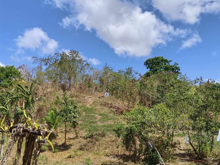 Residential farm lot for sale in Tanay Rizal