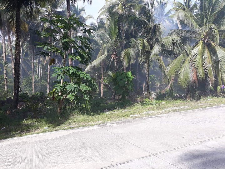 Titled 1000 sqm Near Surfing Beach Pacifico  Siargao Islands