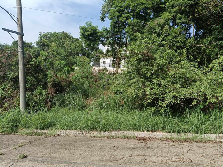 300 sqm Residential Lot For Sale in Antipolo Rizal