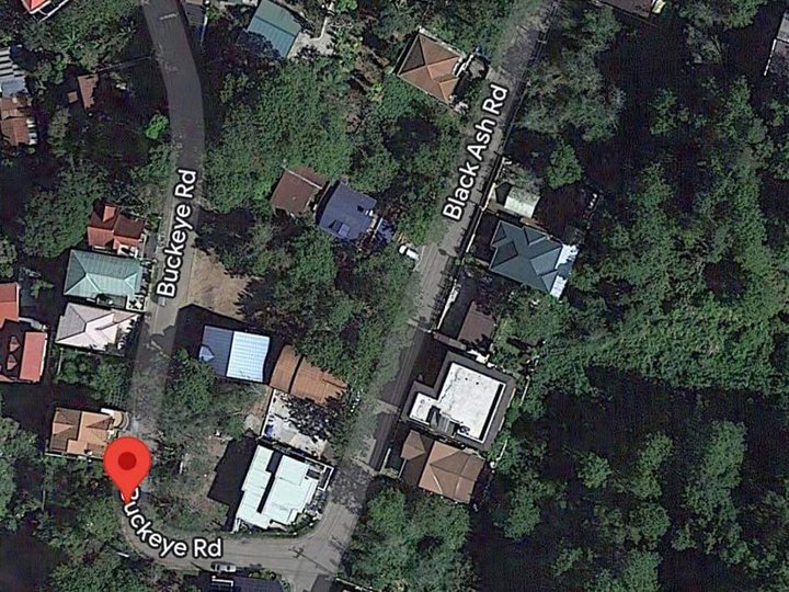 204 sqm Residential Lot For Sale in Baguio Benguet
