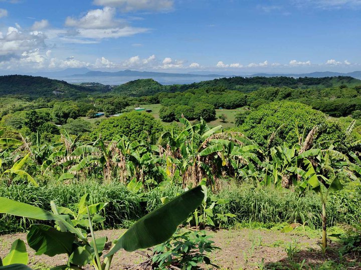 100 sqm Residential Farm For Sale in Tanay Rizal