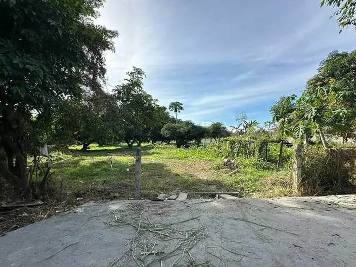 Commercial lot 1000sqm Refreshing Place in Magalang not polluted