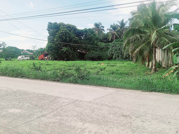 1.48 hectares Farm Lot For Sale in Milaor Camarines Sur