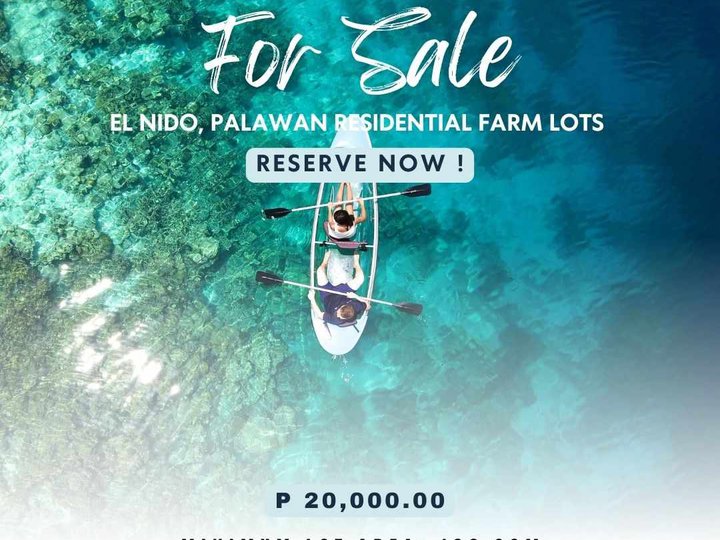 Affordable Resdiential Lots for Sale in El Nido Villas Brgy Sibaltan