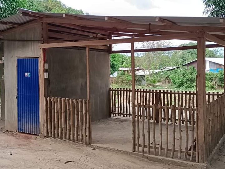 8000 sqm mango farm Lot For Sale in Cuyapo Nueva Ecija