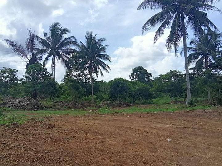 Commercial lot for Sale at Amadeo Cavite