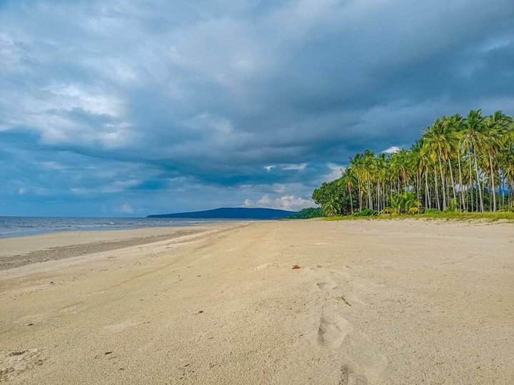 760000 sqm Beach Property rice farm & etc. For Sale in Aborlan Palawan