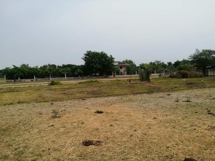 500 sqm Residential Lot For Sale in Bugallon Pangasinan