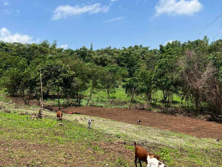 Affordable Residential Farm For Sale in Morong Rizal