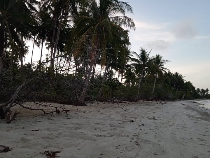 1,000 sqm Beach Property For Sale in Buluang, Sibaltan,El Nido,Palawan