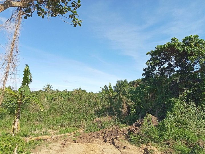 Residential Lot for Sale in Silang Cavite