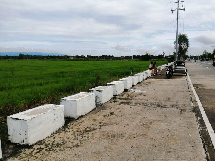 32000 sqm Agricultural Farm For Sale in Bugallon Pangasinan
