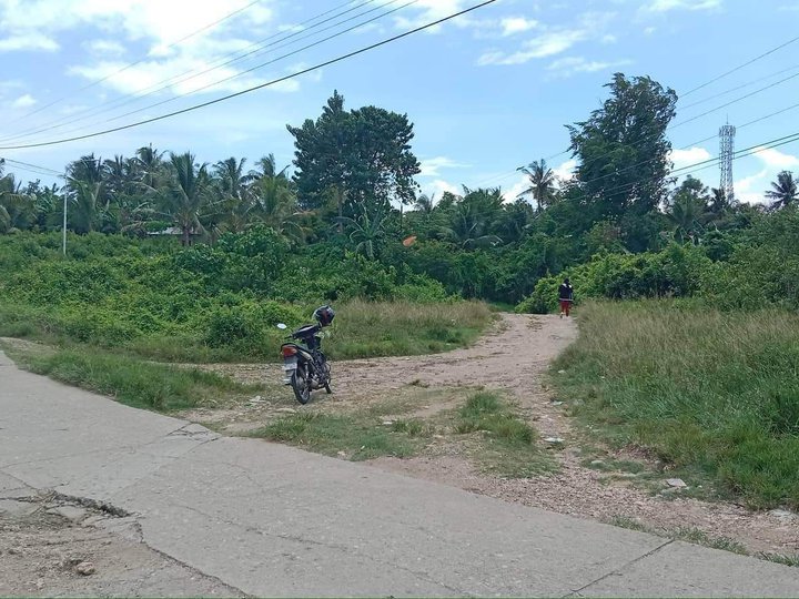 Installment Lot in Danao Cebu Baratu ra