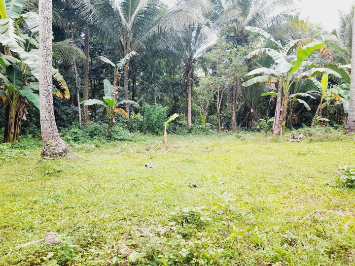 500 sam Residential Farm for sale in Magallanes Cavite