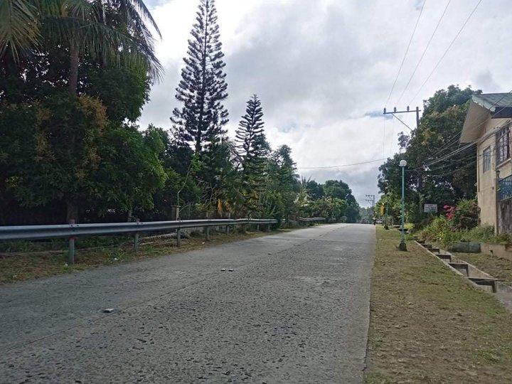 Today's Most Affordable Lot in Alfonso Cavite [Lot 🚜] (February 2022