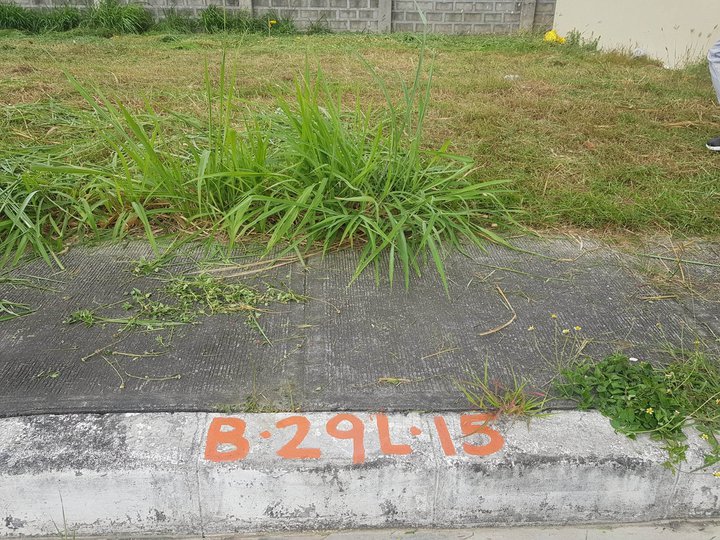 81 sqm Residential Lot For Sale in Antel Grand Village