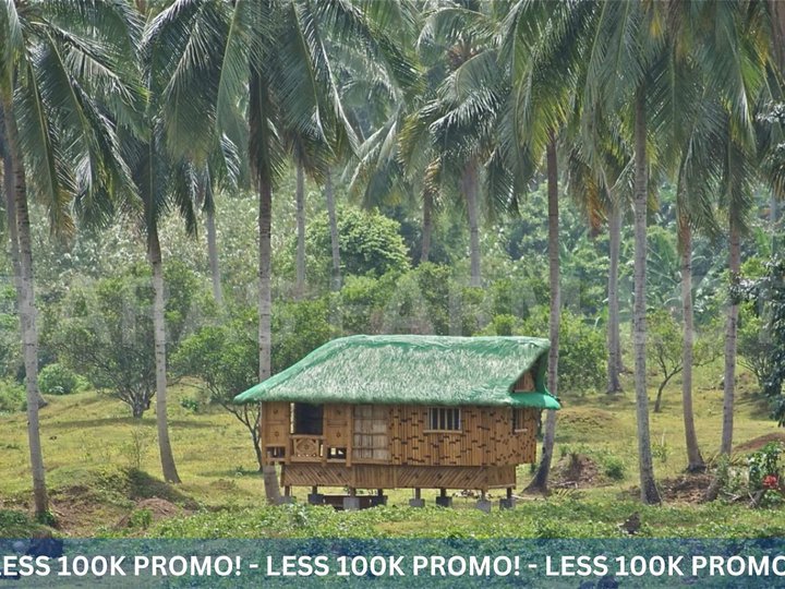 1,000 sqm Residential Farm For Sale in Baras Rizal