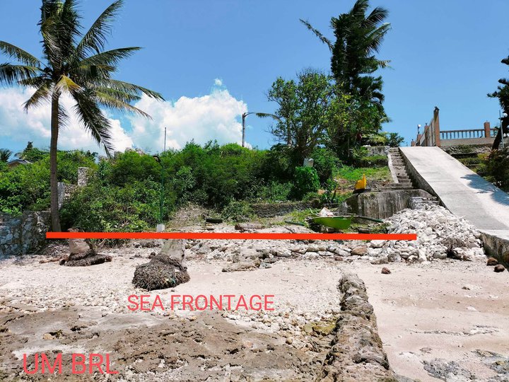 1423 sqm Beach Property For Sale in Dumanjug Cebu