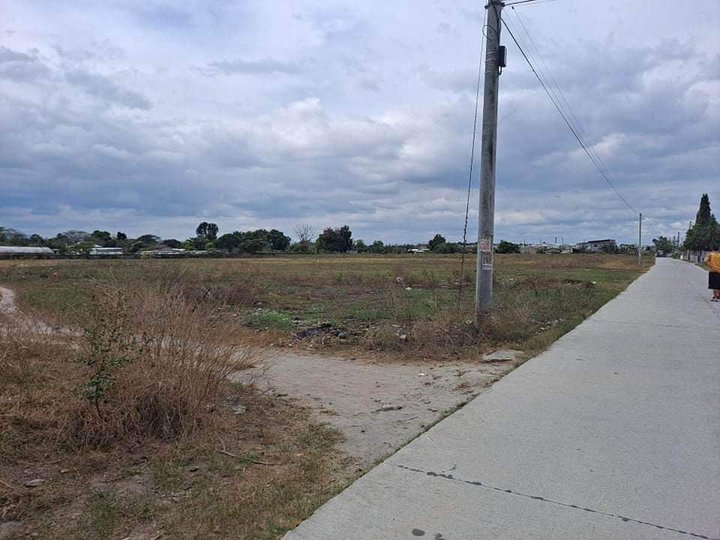 1.3 hectares residential Lot For Sale in Mabalacat Pampanga